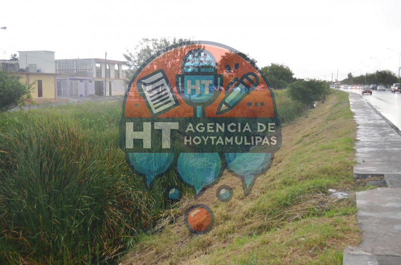 Reptiles en Matamoros