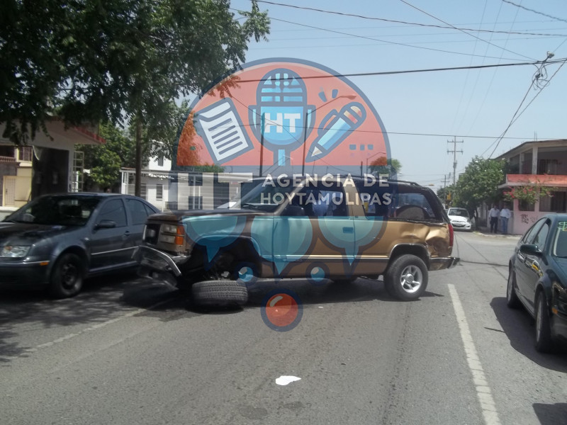 Choca carnicero de Victoria