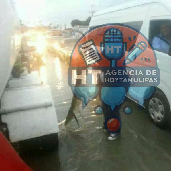 Lluvias Tampico