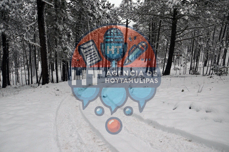 Diciembre blanco en Miquihuana