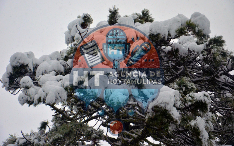 Diciembre blanco en Miquihuana