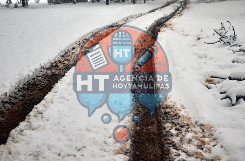 Diciembre blanco en Miquihuana