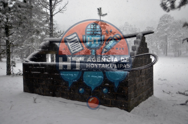 Diciembre blanco en Miquihuana