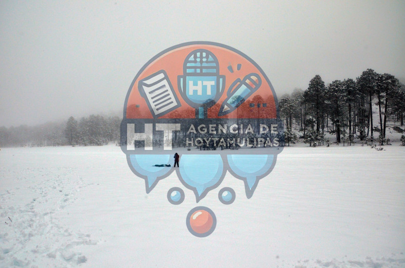 Diciembre blanco en Miquihuana