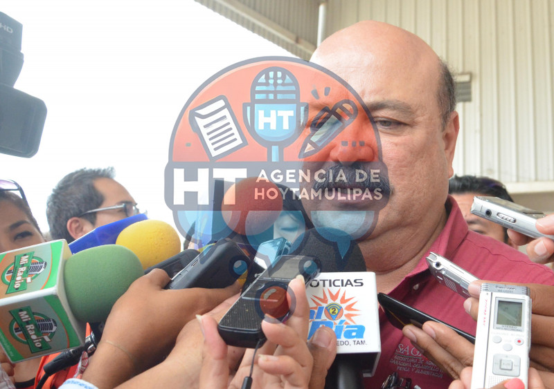 Eduardo Mansilla Gmez