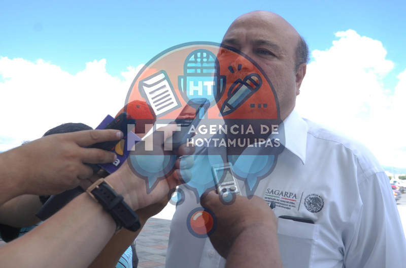 Eduardo Mansilla G�mez