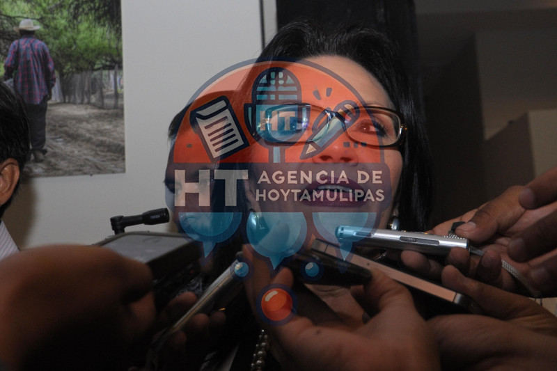 Gilda Cavazos Lliteras