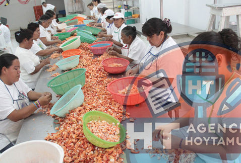 Despachadoras de Tampico