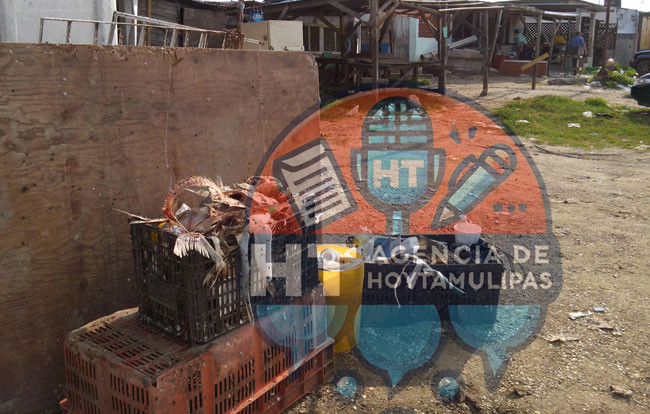 Basura 