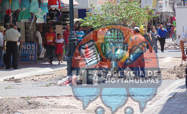 Calle peatonal Hidalgo