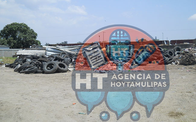 llantas recolectadas