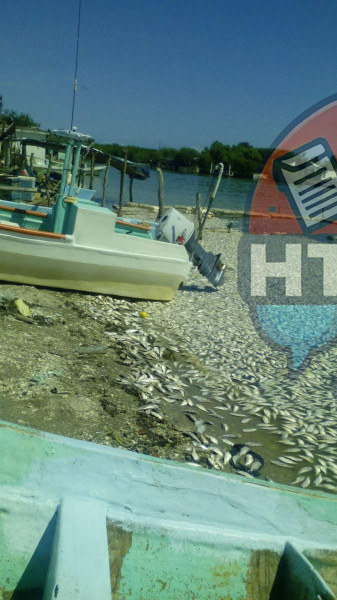 Marea roja en Tamaulipas