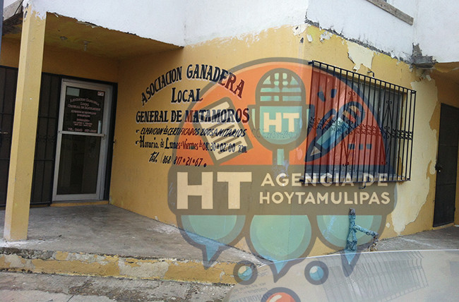 Sin repote de venta de carne de caballo