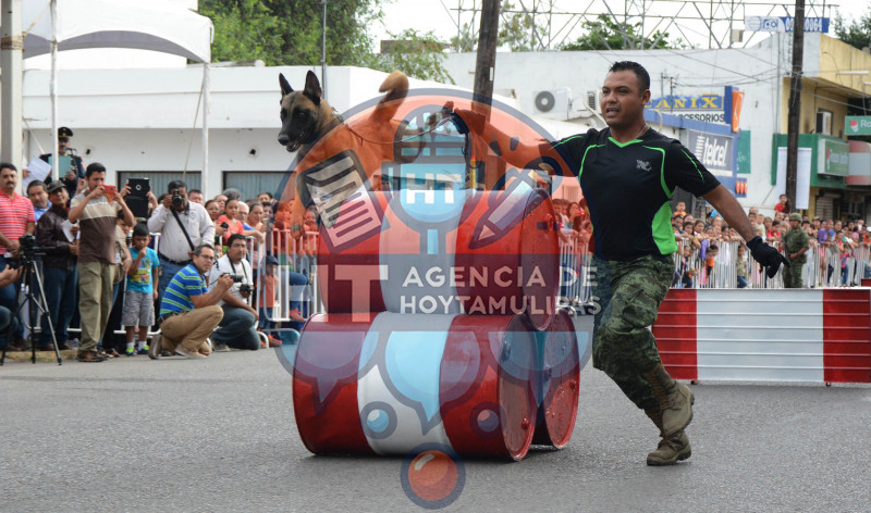 Desfile 20 noviembre 