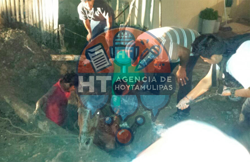 Caballo cae en zanga 