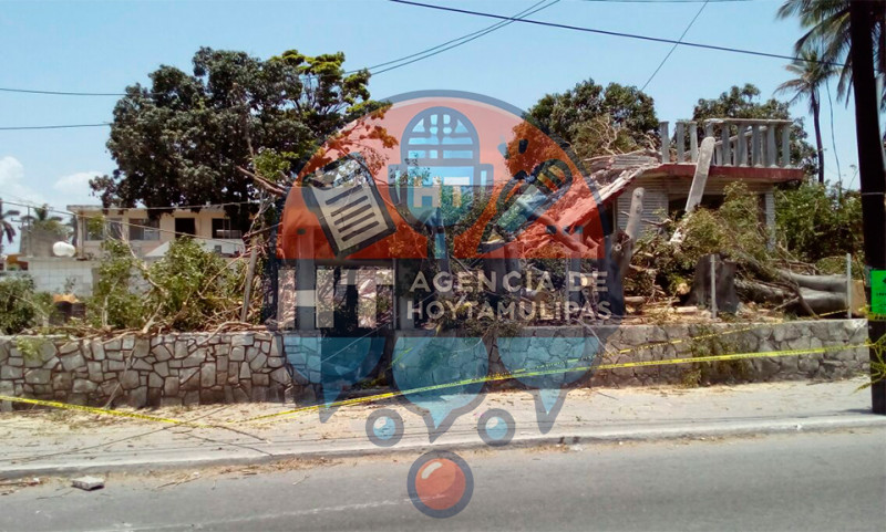 Cae �rbol sobre casa