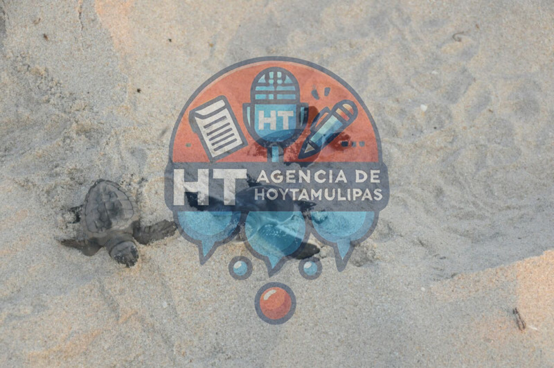 Tortugas Lora