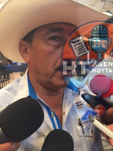 Alejandro Moya Garza