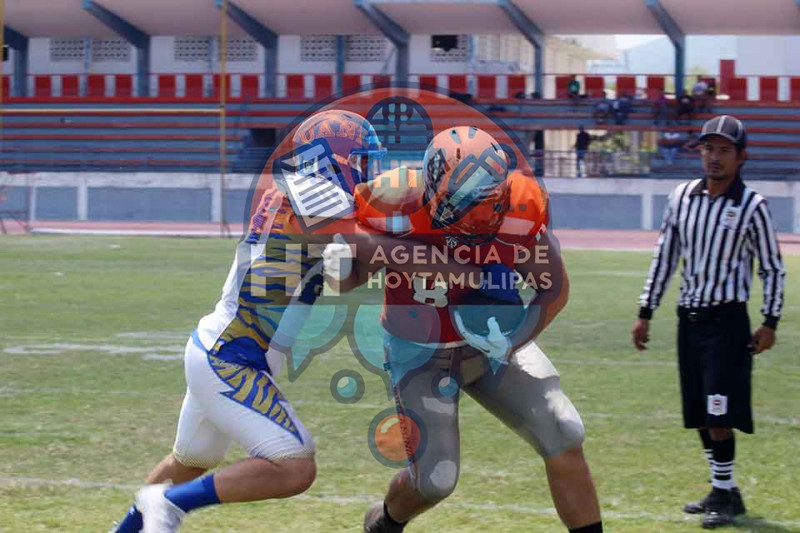 Autnticos Tigres de la UANL 