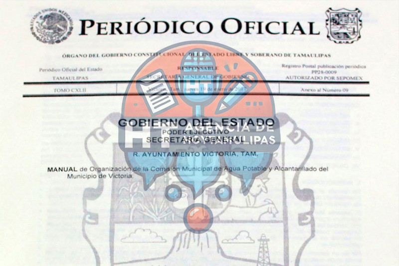 Manual de Organizaci�n de la Comapa