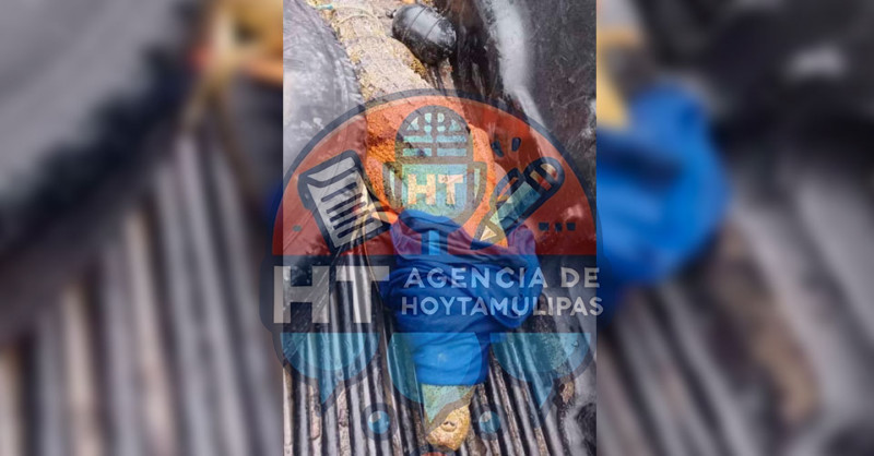 Atrapado! Cocodrilo fue capturado en Soto la Marina