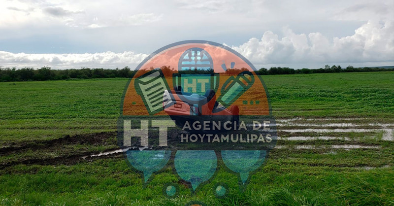 Volcadura en la carretera Jim�nez-Victoria