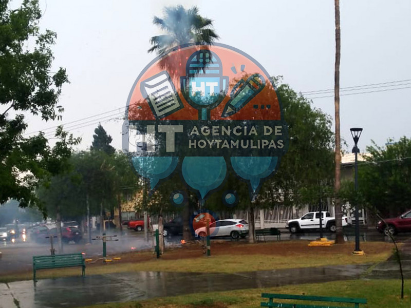 Palmera incendiandose 